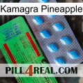 Kamagra Pineapple new03